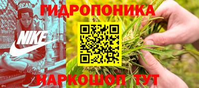 apvp Нягань
