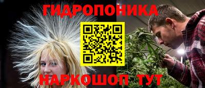 эйфоретик Обь